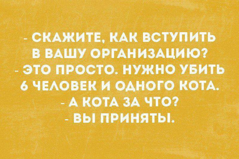 799x531, 66 Kb / Убийство, кот, организация, проверка, тест, экзамен, испытание