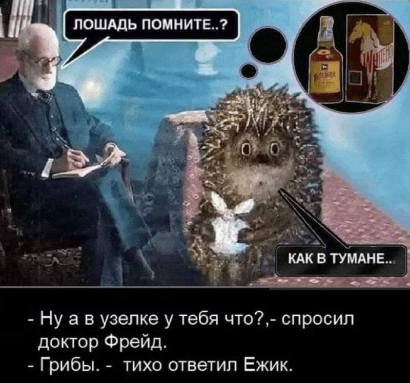 800x748, 106 Kb / фрейд,ёжик в тумане