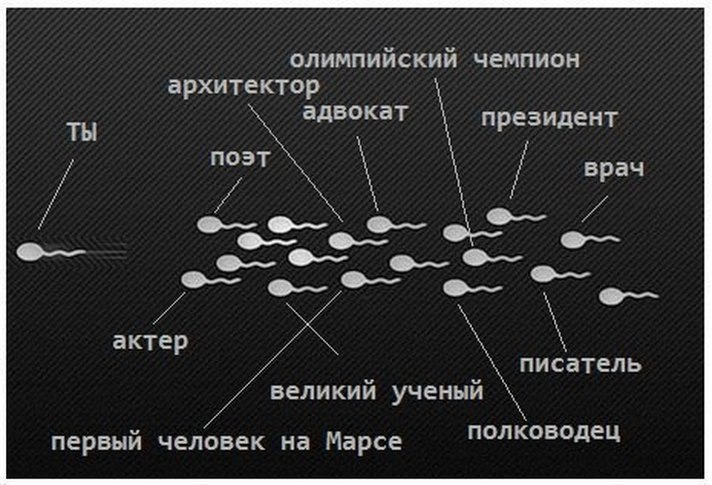 712x485, 76 Kb / сперматозоиды