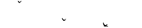 470x93, 44 Kb / птички