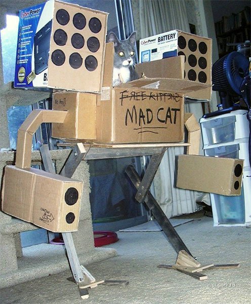 496x600, 88 Kb / кот, робот