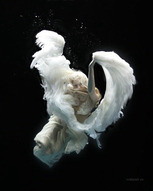 500x624, 38 Kb / вода, чёрное