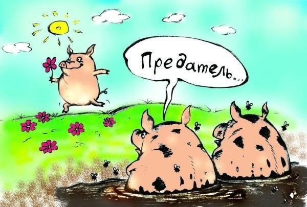 600x405, 54 Kb / свиньи, предатель