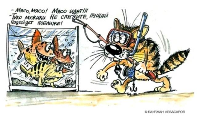 640x384, 50 Kb / аквариум, пираньи, кот, мясо, карикатура