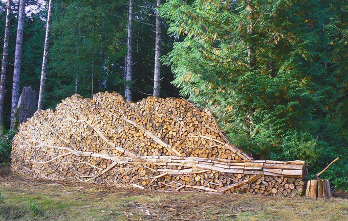 680x433, 158 Kb / поленница, дрова, дерево