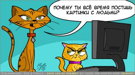 447x250, 19 Kb / кошки, коты