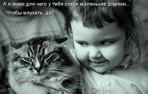 604x383, 63 Kb / кот, девочка, шарики, яйца