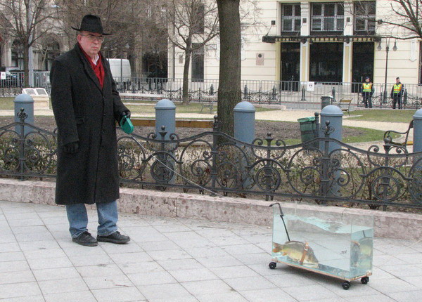 600x430, 108 Kb / прогулка, рыба, аквариум