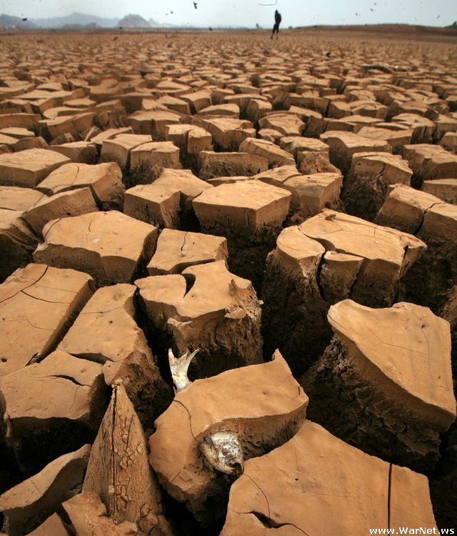 640x750, 99 Kb / засуха, грязь, вобла
