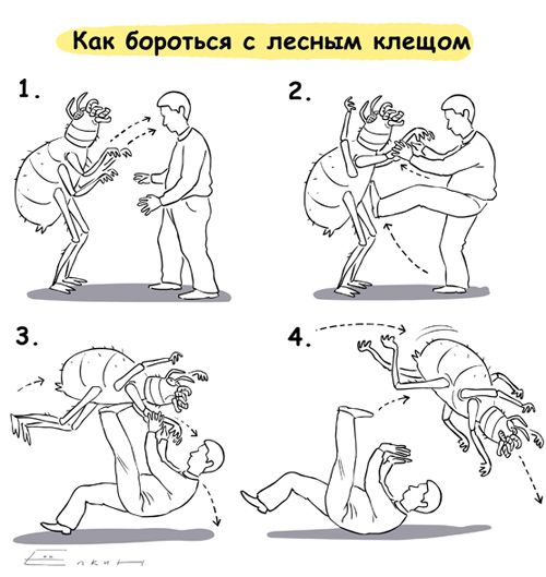 500x529, 46 Kb / комиксы, клещ, борьба
