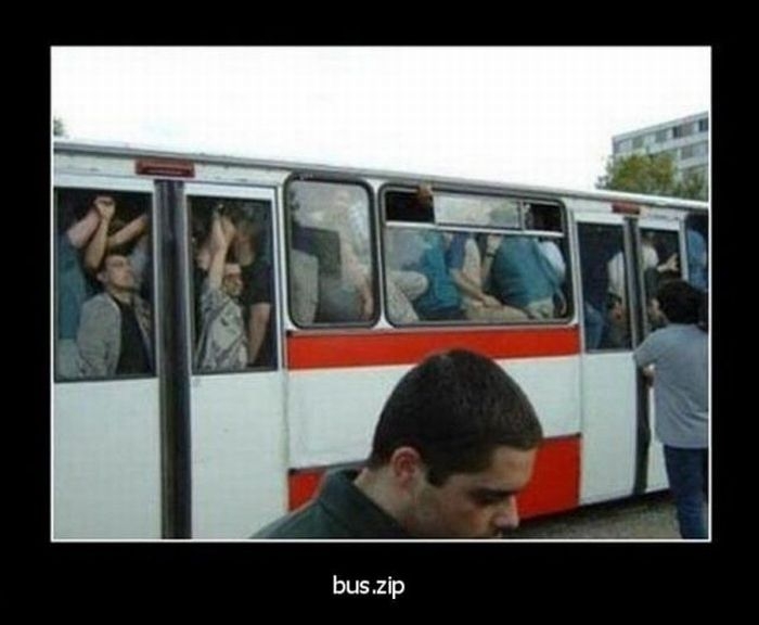 700x576, 94 Kb / автобус, bus, zip