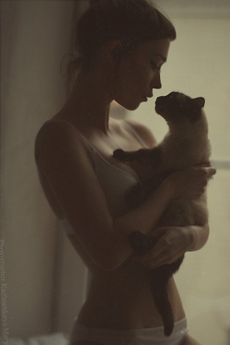 466x700, 67 Kb / сиамская, кошка