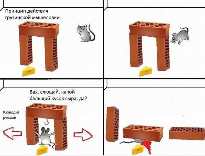 700x532, 54 Kb / мышь, сыр