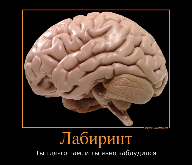 760x656, 185 Kb / мозг, демотиватор, лабиринт