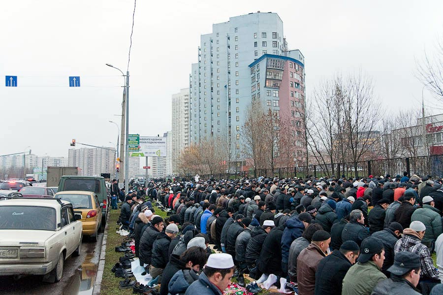 900x599, 126 Kb / курбан байрам, бараны