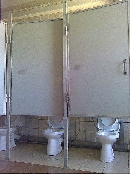 449x600, 72 Kb / туалет, дверь, палево, идиоты