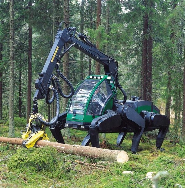 600x609, 173 Kb / дрова, лес