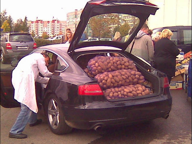 650x486, 95 Kb / кризис, мешок, багажник