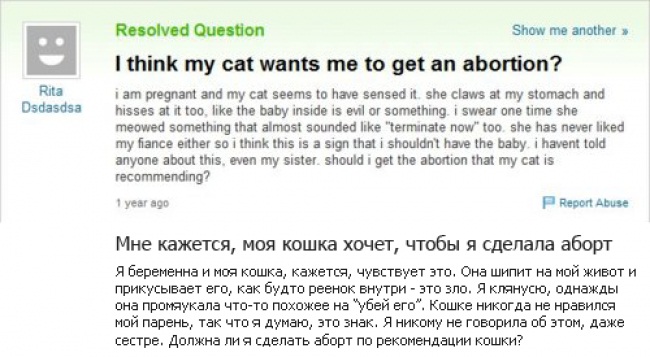 650x357, 87 Kb / кошка, аборт, требование, дура, вопрос