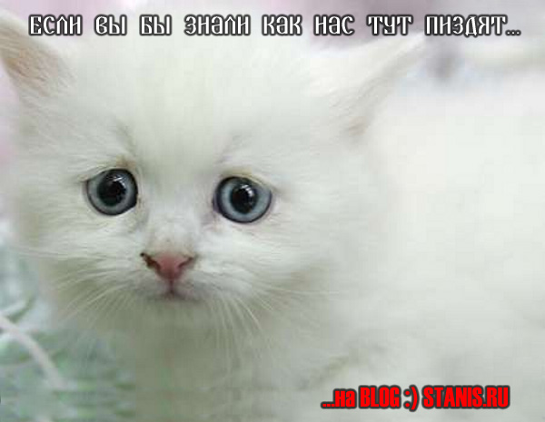 600x465, 81 Kb