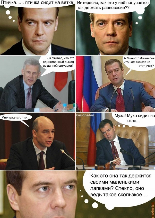 638x893, 127 Kb / медведев, птичка, муха, мысли, клоунит, правительство, президент, уже не президент