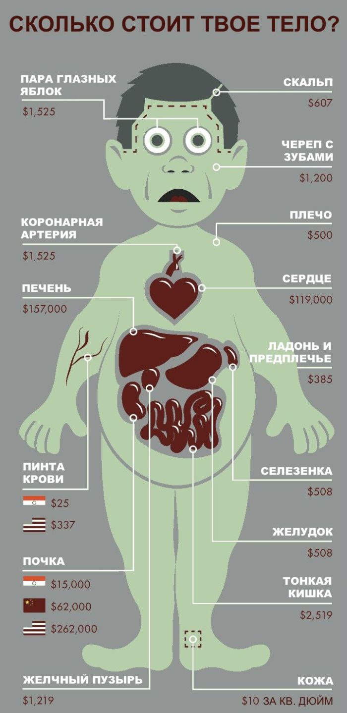 700x1439, 92 Kb / тело, органы, чёрный рынок, прайс