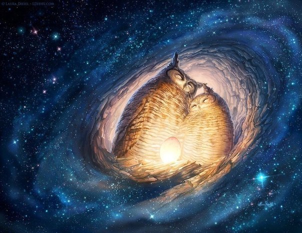 604x466, 92 Kb / совы, галактика