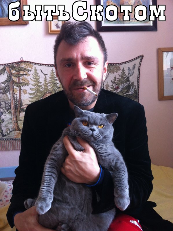 598x800, 93 Kb / бытьСкотом, Шнур, Сергей Шнуров, кот, котэ