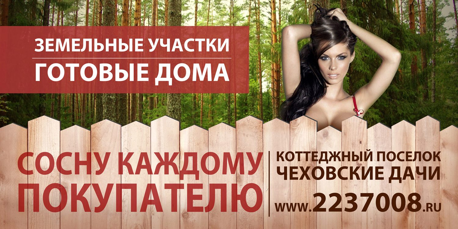 1500x750, 250 Kb / сосна, участок
