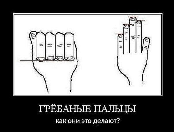 604x460, 32 Kb / рука, пальцы