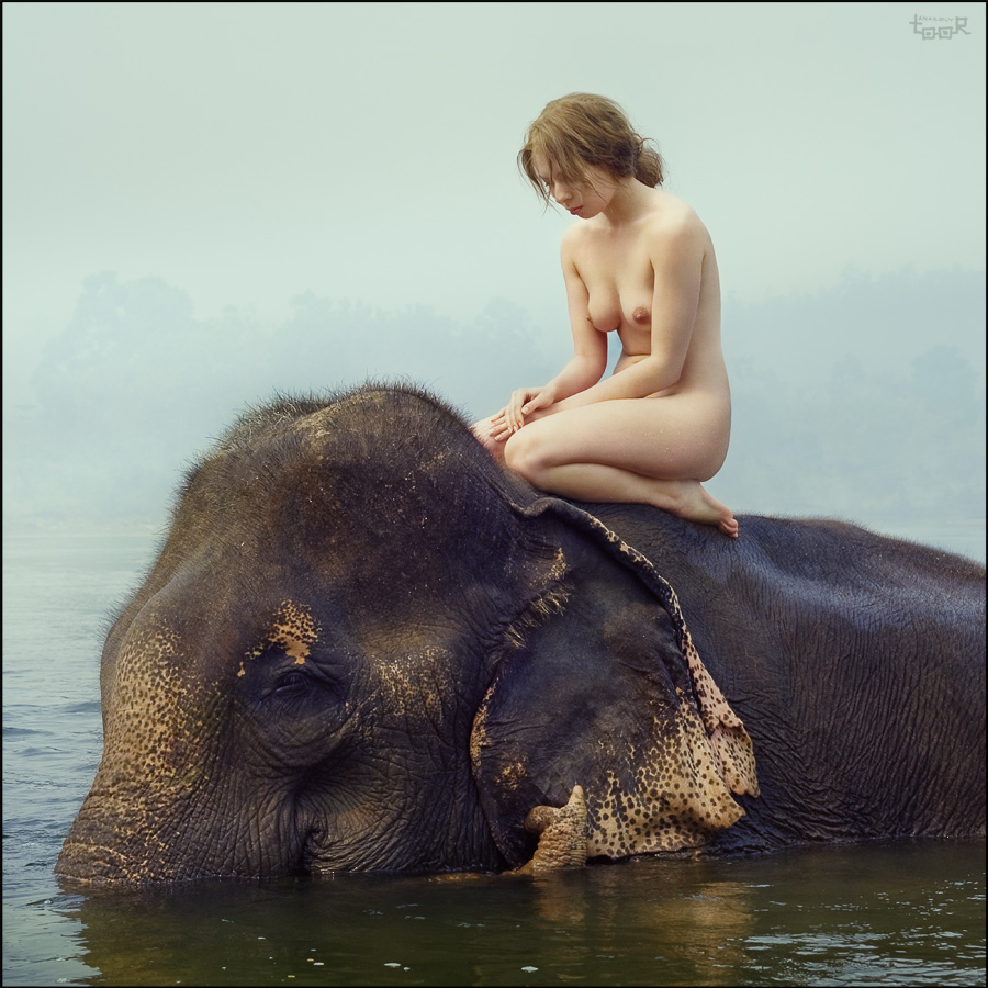 900x900, 259 Kb / слон, девушка, вода