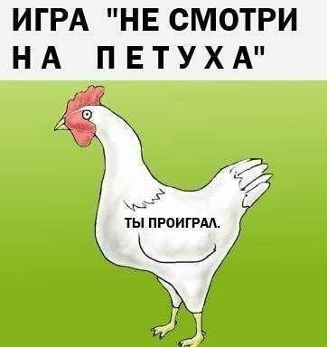 362x384, 18 Kb / петух, игра, fail