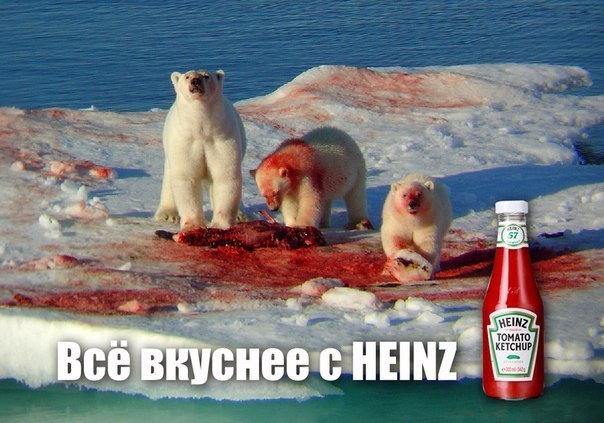 604x423, 68 Kb / медведи, белые, еда, кетчуп, кровь