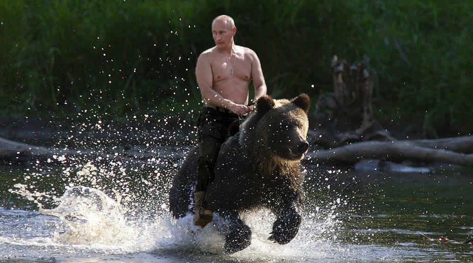 927x516, 104 Kb / путин, медведь, фотожаба, скачка, брызги