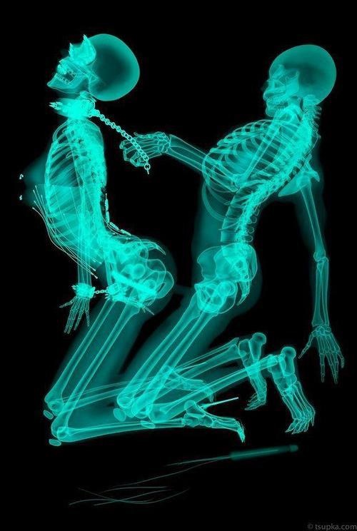 500x744, 84 Kb / рентген, секс, бдсм, скелет, череп, ошейник, цепь