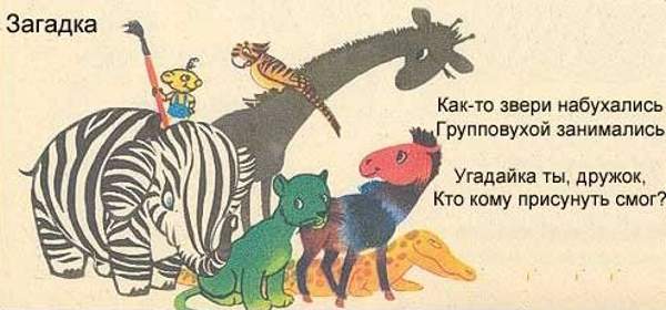 600x280, 29 Kb / загадка