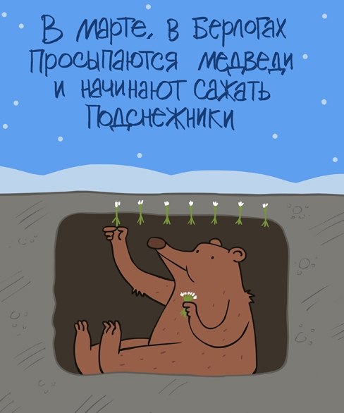 488x586, 37 Kb / медведь, берлога, подснежники