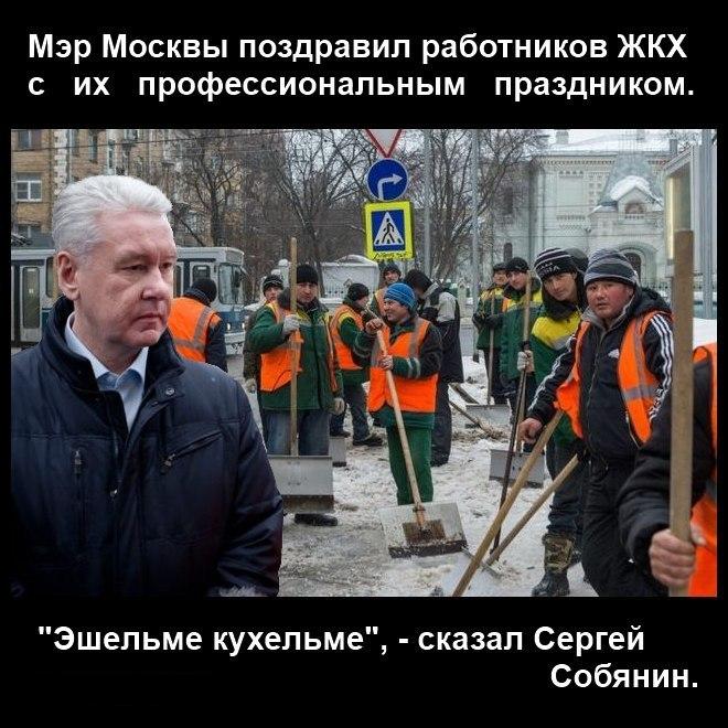 660x660, 105 Kb / собянин, дворник, таджик, москва