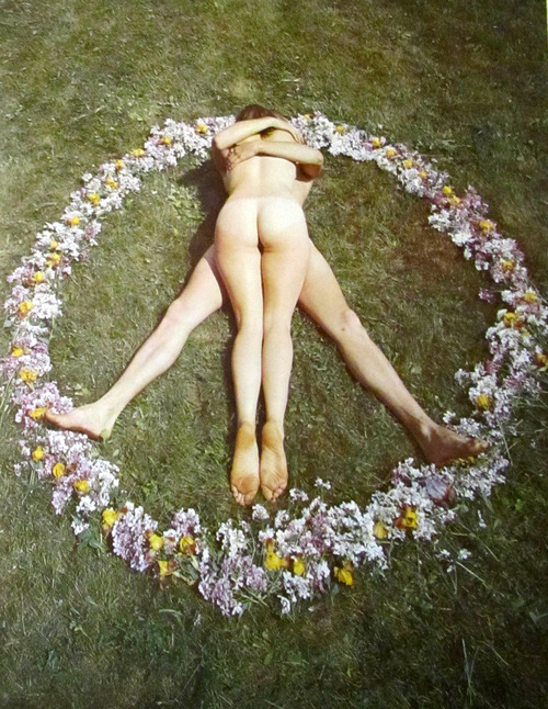 500x646, 201 Kb / цветы, круг, peace
