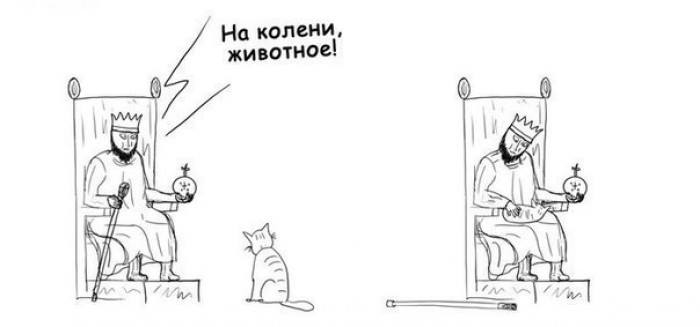 700x327, 17 Kb / царь, котэ, колени, животное