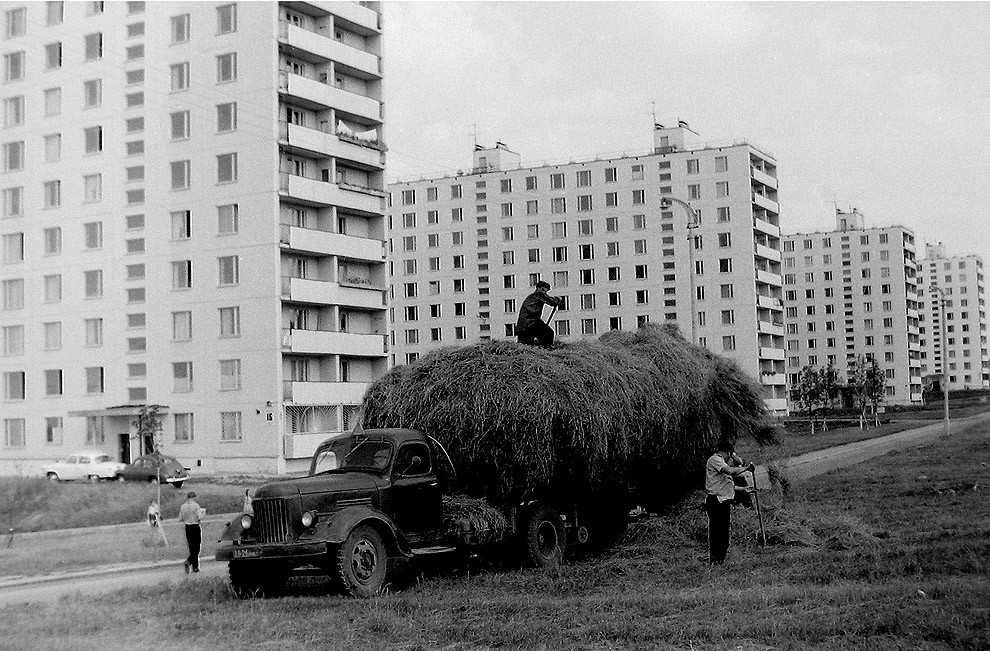 990x651, 252 Kb / сено, грузовик, спальник, город, Москва, 1967, ч/б