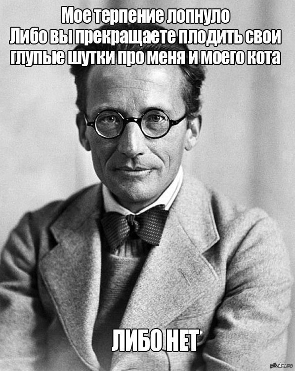 597x751, 111 Kb / шредингер, кот, шутки