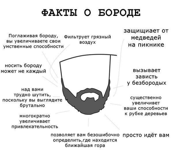 604x525, 37 Kb / борода, факты