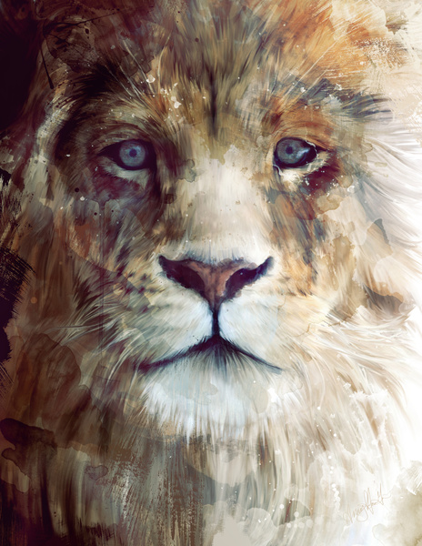 464x600, 153 Kb / лев, amy hamilton, картина, взгляд