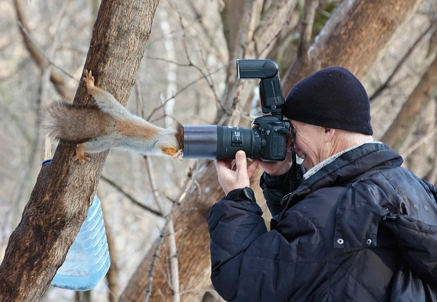 900x621, 256 Kb / белка, фотограф