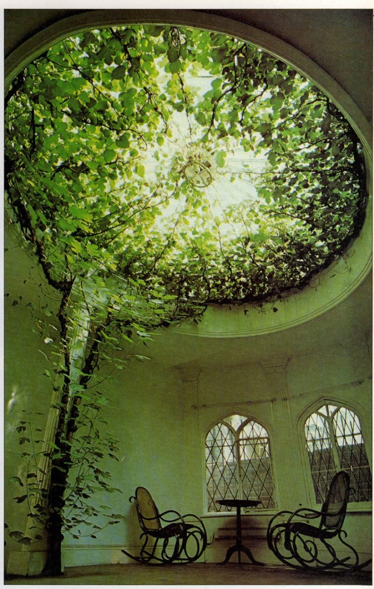 740x1164, 222 Kb / крыша, кресла, плющ