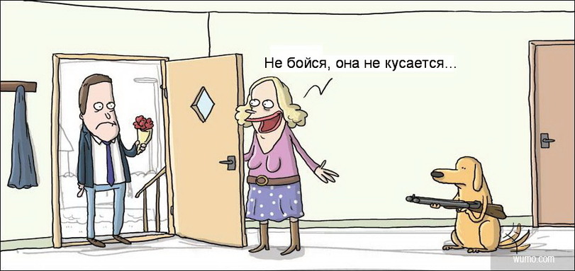 811x383, 84 Kb / собака, ружье, дверь