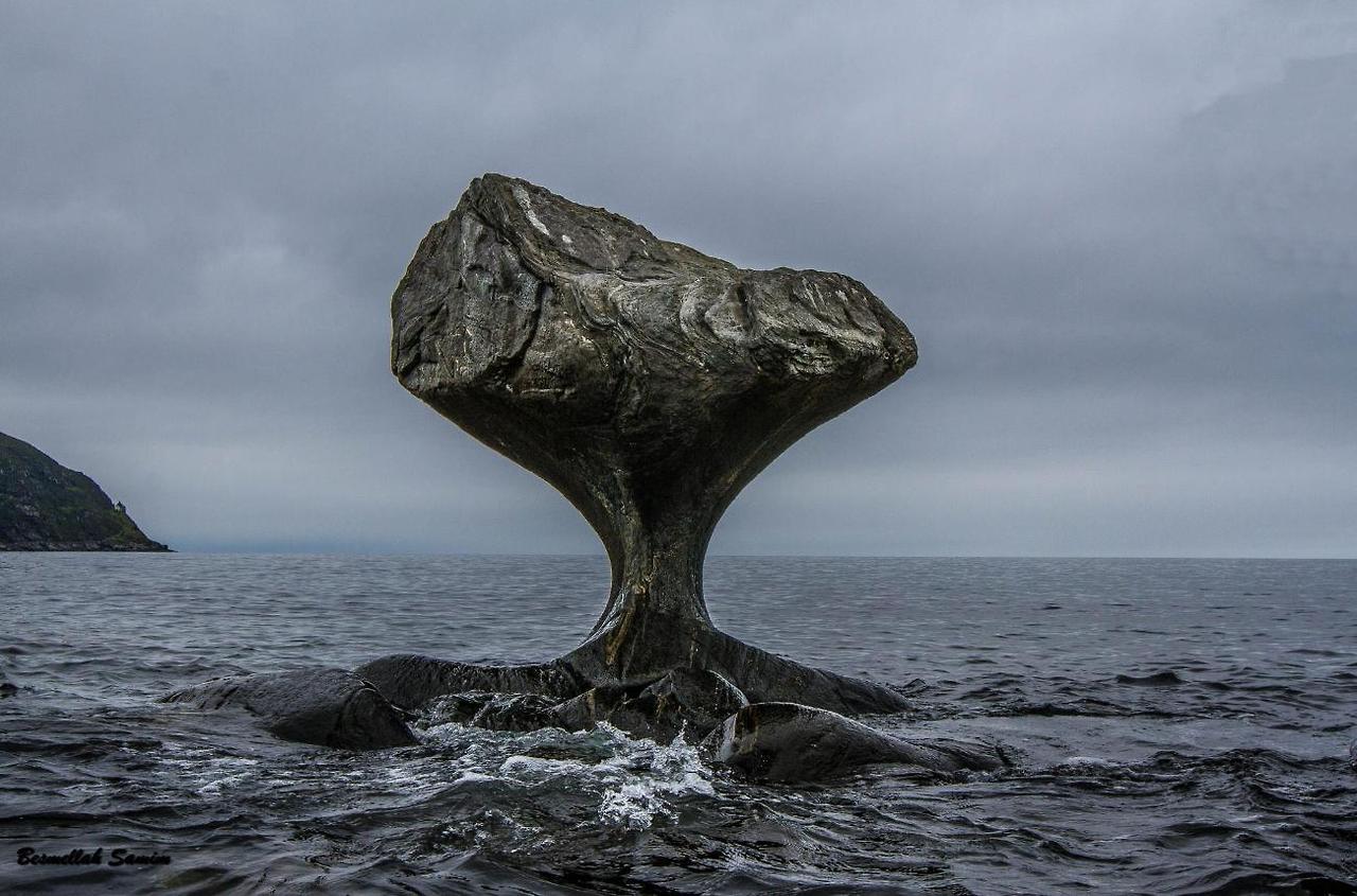 1280x845, 144 Kb / Скала, гриб, море, эрозия