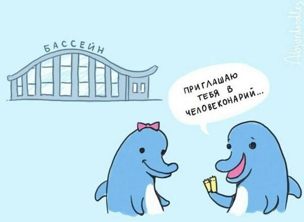 600x439, 21 Kb / дельфины, бассейн, человеконарий