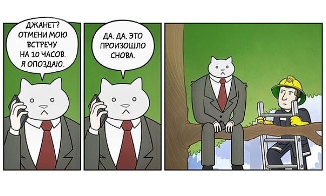 650x390, 50 Kb / кот, дерево, встреча, спасатель, костюм